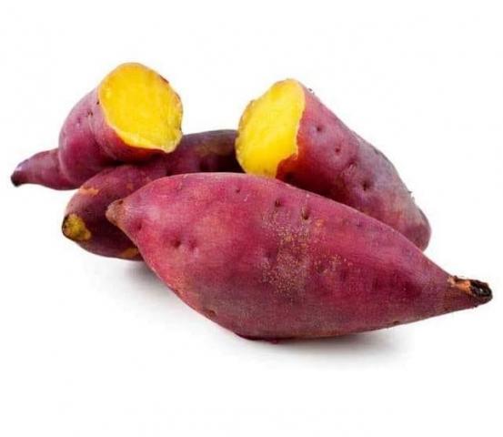 اليوم الاخباري