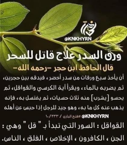 اليوم الاخباري