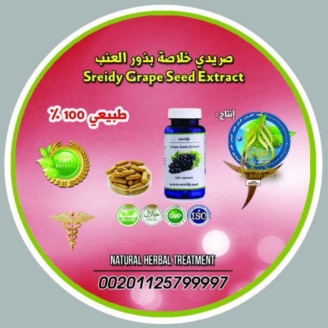 اليوم الاخباري