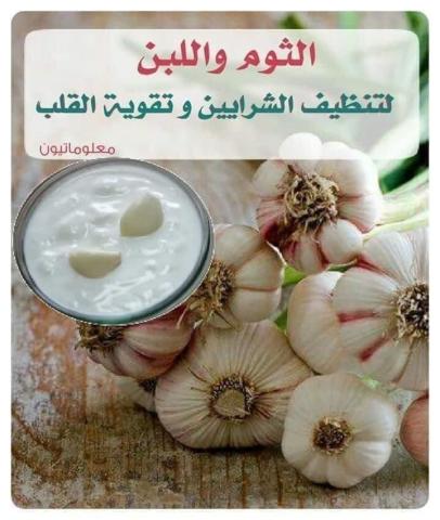 اليوم الاخباري