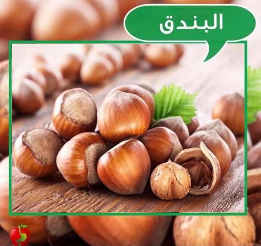 اليوم الاخباري