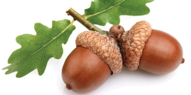 اليوم الاخباري