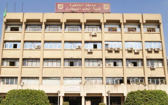 اليوم الاخباري