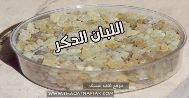 اليوم الاخباري