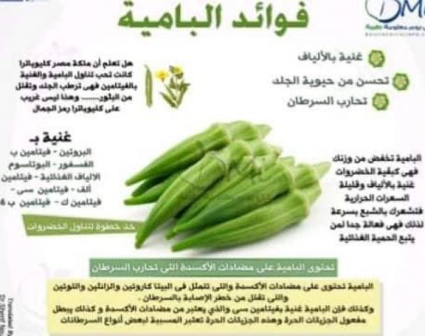 اليوم الاخباري