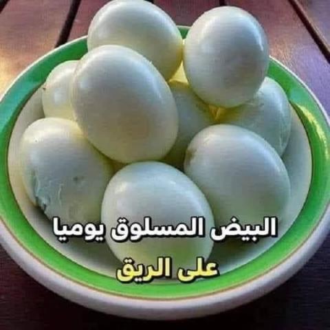 اليوم الاخباري