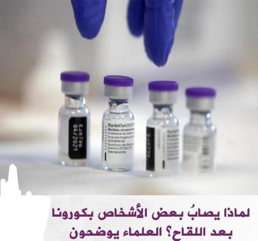 اليوم الاخباري