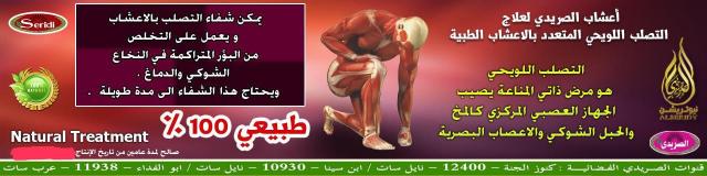 اليوم الاخباري