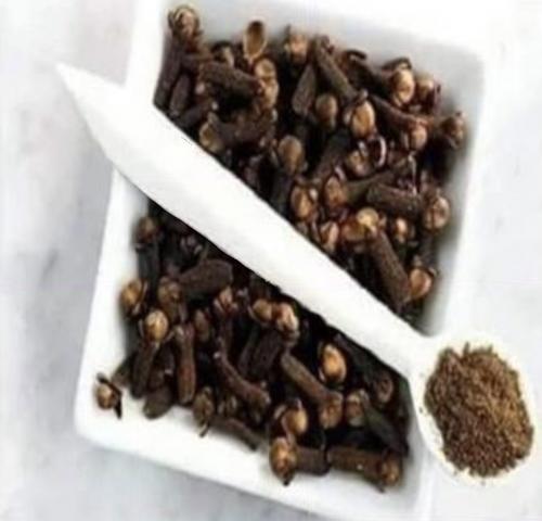 اليوم الاخباري