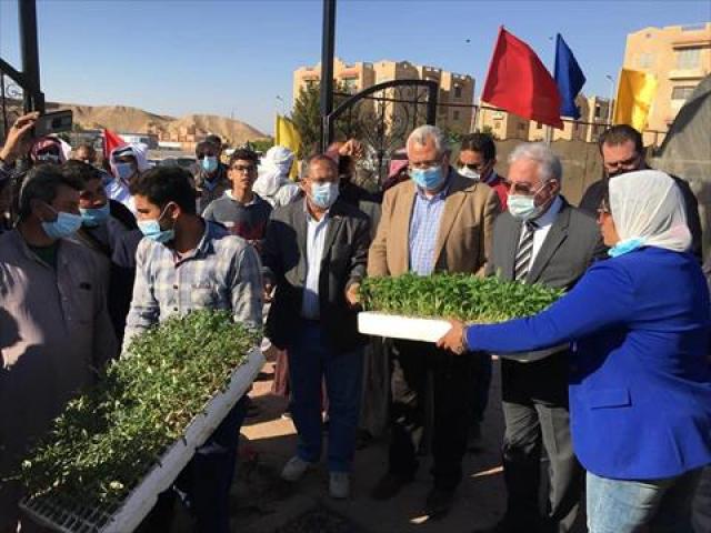 اليوم الاخباري