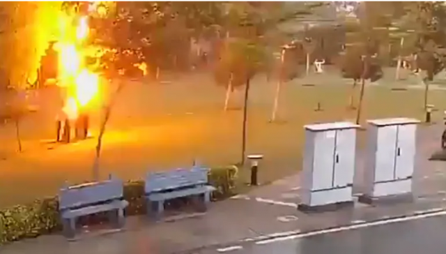 اليوم الاخباري