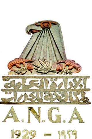 اليوم الاخباري