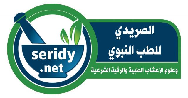 اليوم الاخباري