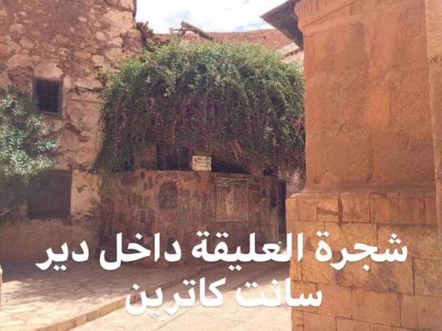 اليوم الاخباري