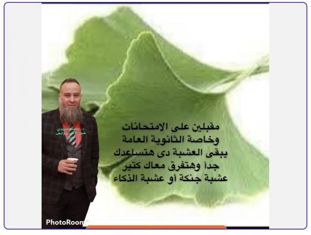 اليوم الاخباري
