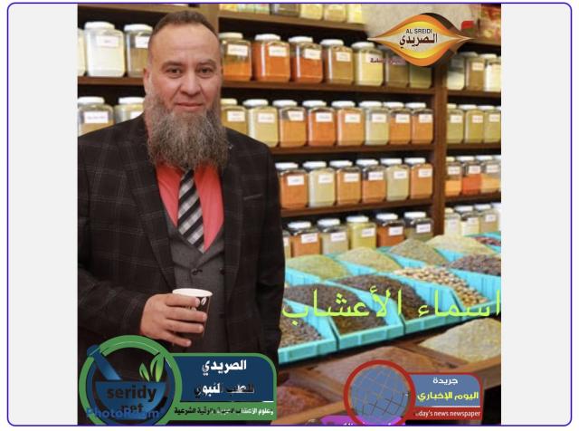 اليوم الاخباري