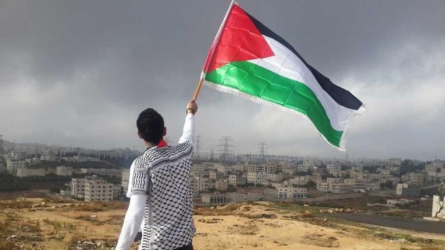 اليوم الاخباري
