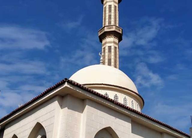 اليوم الاخباري