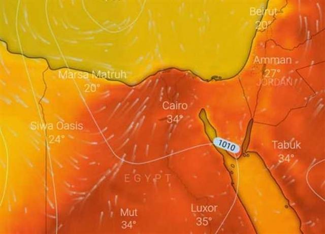 اليوم الاخباري