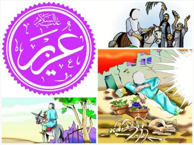 اليوم الاخباري