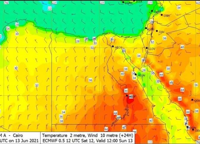 اليوم الاخباري