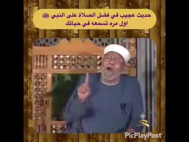 اليوم الاخباري