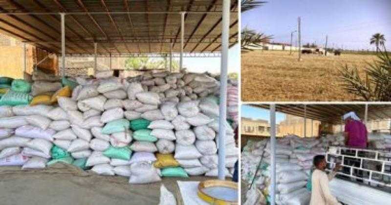 البورصة المصرية للسلع تنطلق اليوم بطرح القمح للمطاحن