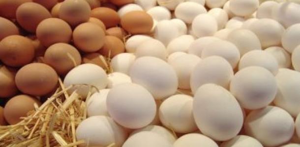 انخفاض أسعار البيض فى الأسواق.. والزراعة تضخ كميات كبيرة فى منافذها