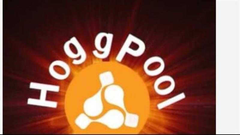بعد غلق التطبيق.. ما هي هوج بول Hogg المنصة الرقمية التي تصدرت التريند؟ (أدق التفاصيل)