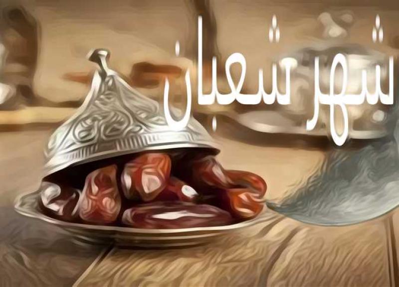اليوم الاخباري