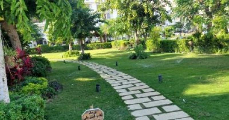 اليوم الاخباري