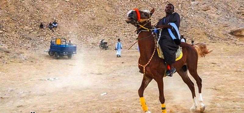 مهرجان الفروسية فى الصعيد.. فعاليات مرماح الخيول بأسوان
