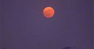 راقبوا السماء.. القمر يقترن بالنجم الأحمر العملاق ”قلب العقرب” فى مشهد بديع غدا