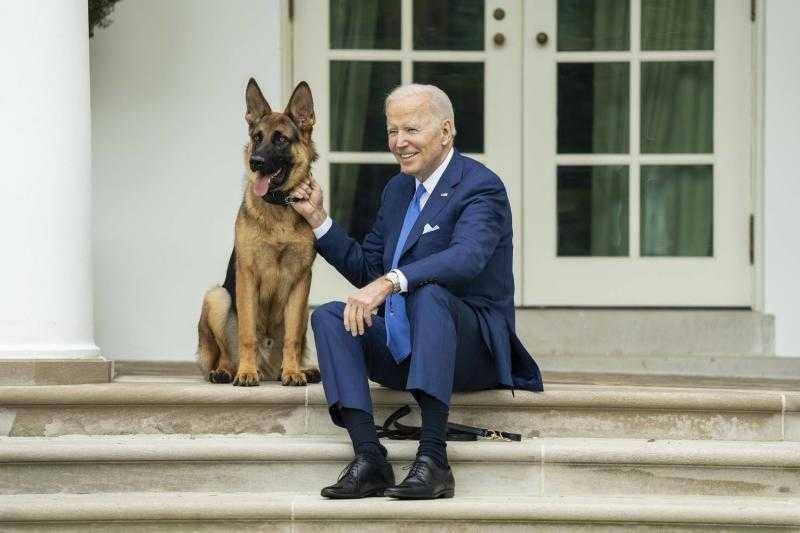 للمرة الـ 11.. كلب بايدن يعقر أحد موظفى البيت الأبيض