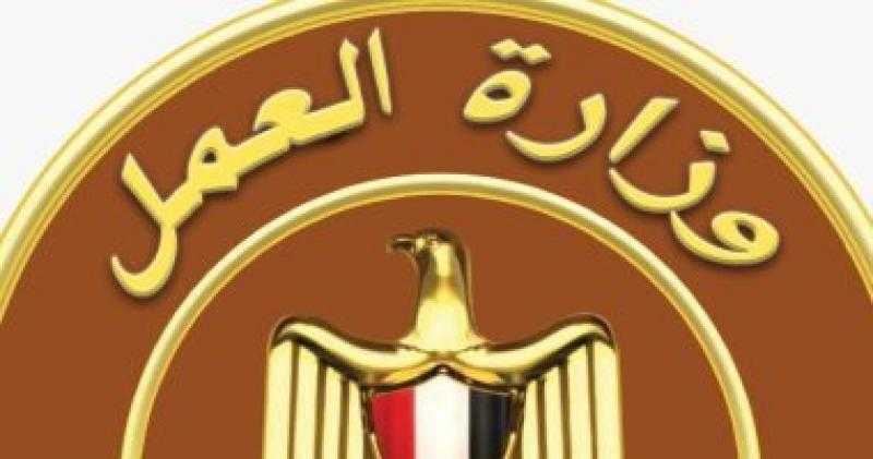 خطوة بخطوة.. اعرف كيف تسجل بياناتك بوزارة العمل للحصول على وظيفة