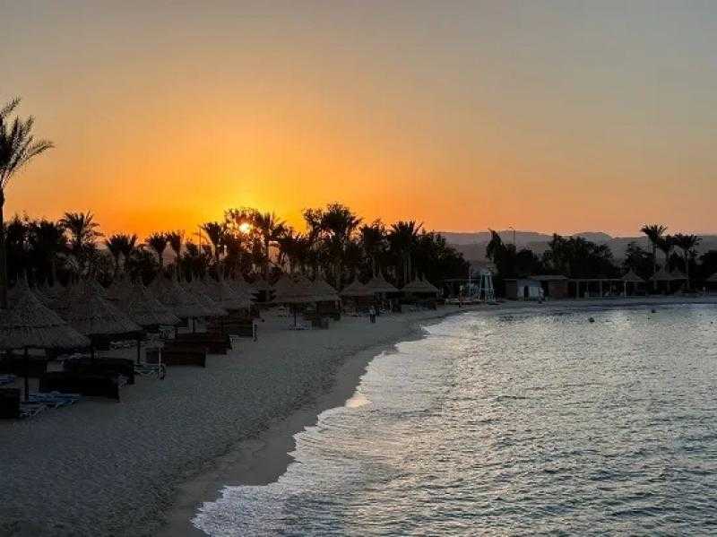 أفضل 6 أماكن للغوص فى العالم.. منها القصير ومرسى علم