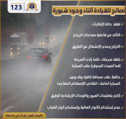 وزارة الصحة توجه نصائح مهمة للسائقين للتعامل مع الشبورة.. إنفوجراف