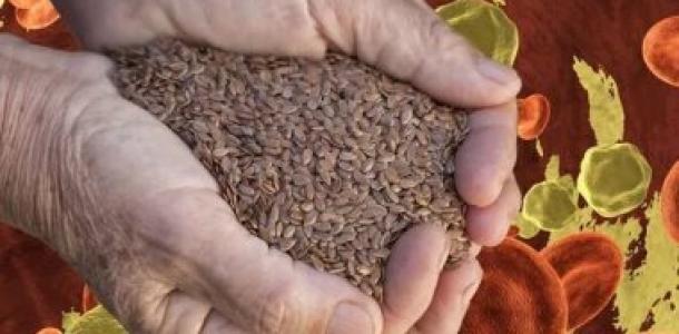 لو بتعانى من ضعف العظام.. جرب بذور الكتان