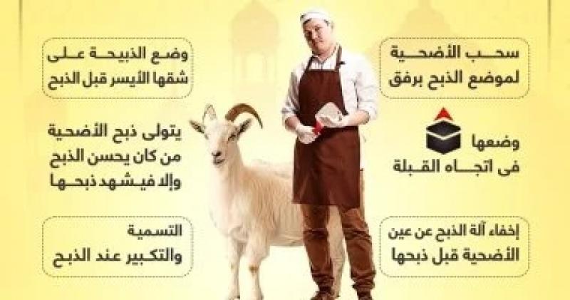 اليوم الاخباري