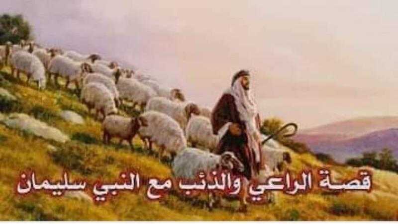 الذئب والغنم