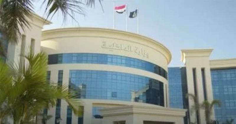 في واقعة صادمة.. إعدام كلبين رميا بالخرطوش فى دمياط