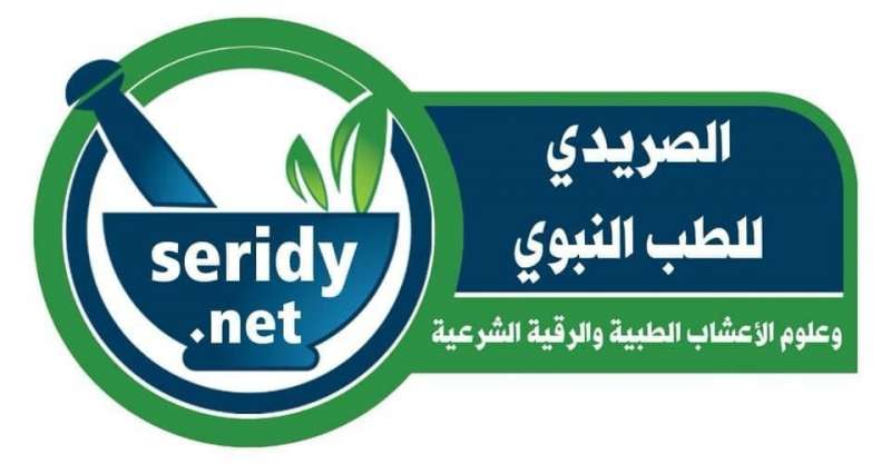 اليوم الاخباري