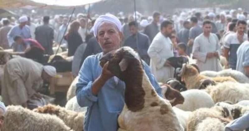 اليوم الاخباري