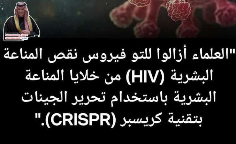 اليوم الاخباري