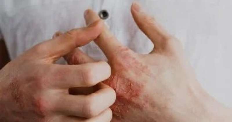 اليوم الاخباري