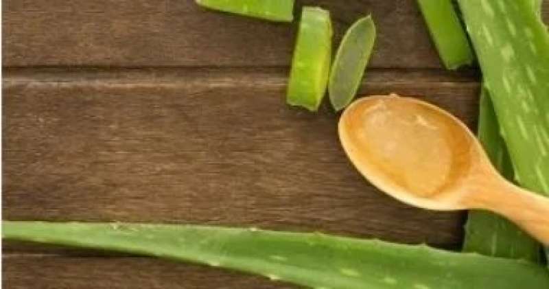 اليوم الاخباري