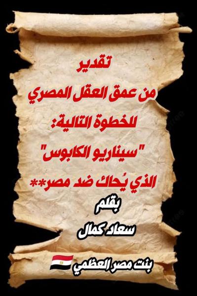 ماذا يريدون من مصر