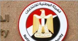 انطلاق تصويت المصريين في الخارج بجولة الإعادة بانتخابات مجلس الشيوخ 2025