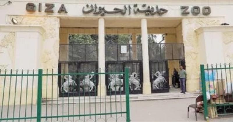 اليوم الاخباري