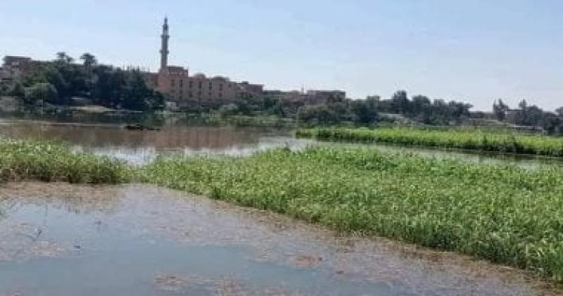 اليوم الاخباري